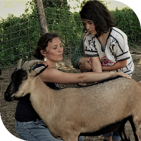 Médiation Par l'Animal entre un enfant et une chèvre